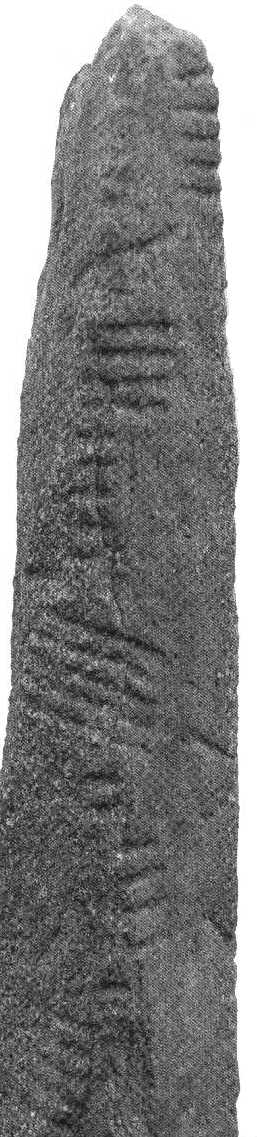 [picture of ogham inscribed pillar-stone]